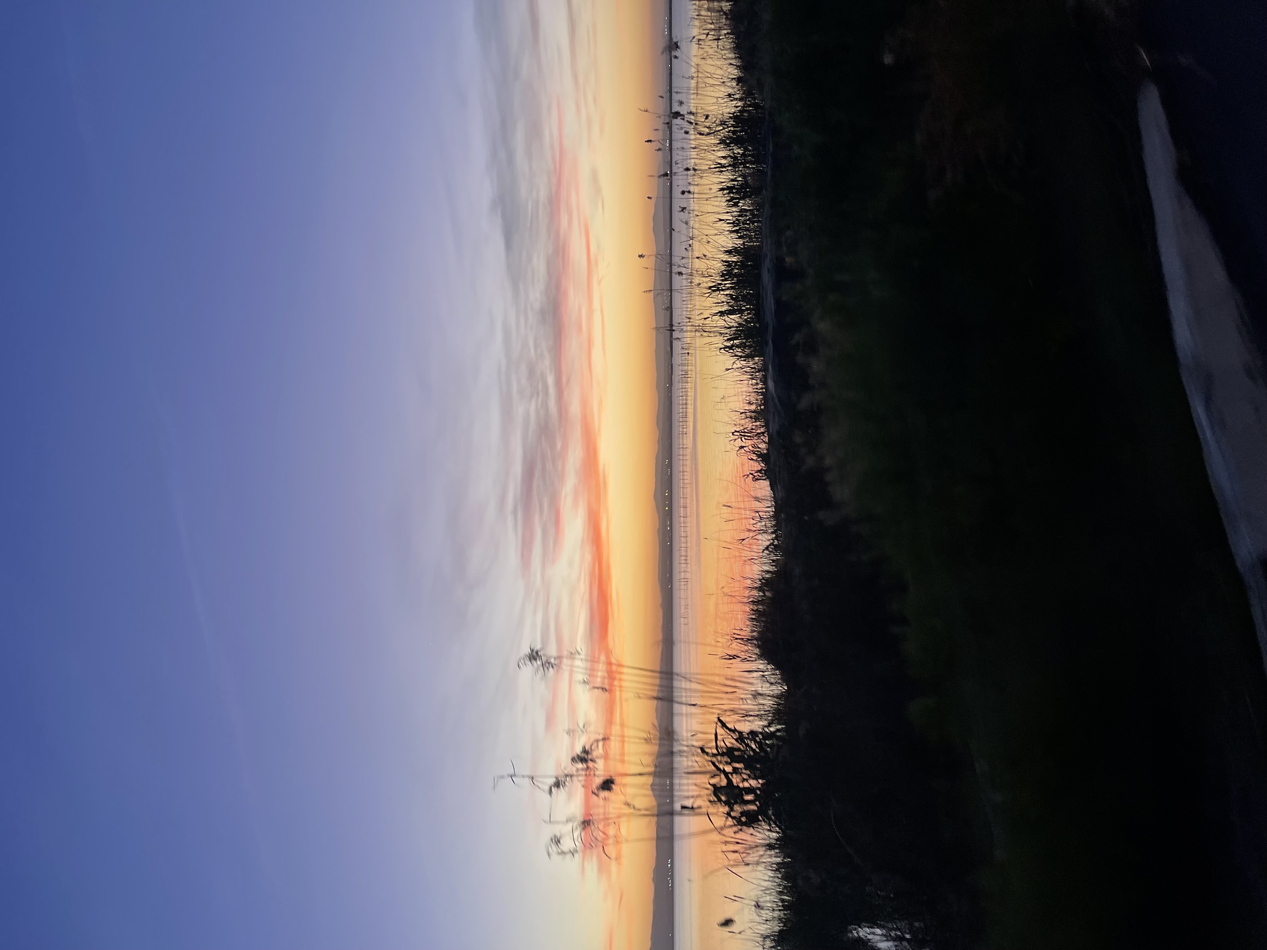 Albufera