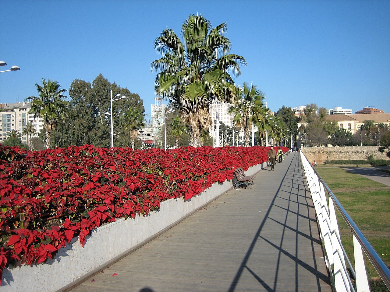 Puente de las Flores